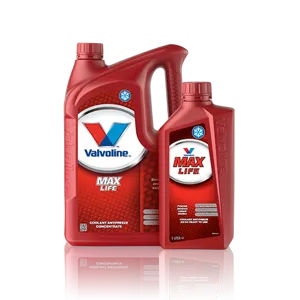Valvoline discount max life